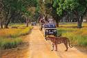 parco nazionale kanha